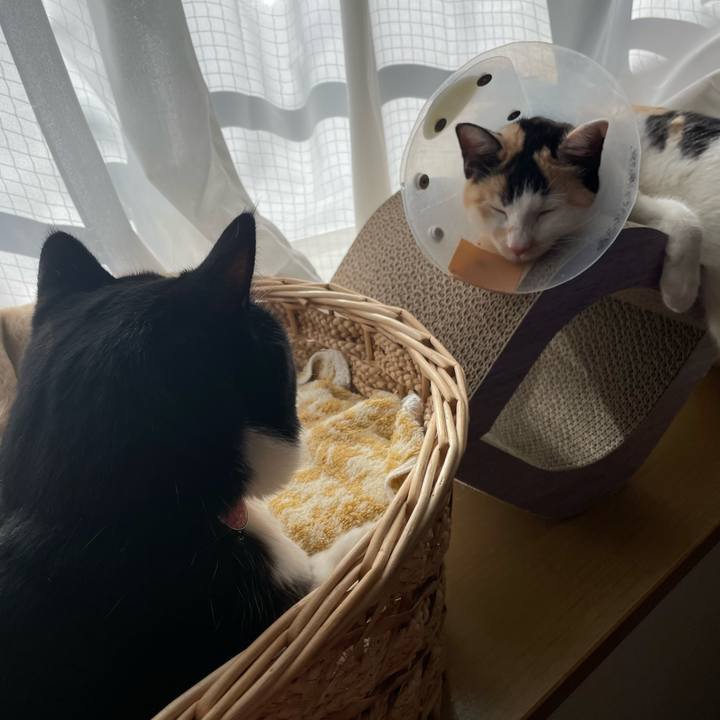 65d8c10d b5b9 4e3e bf6a e0d01bf8bde9 1672016468264