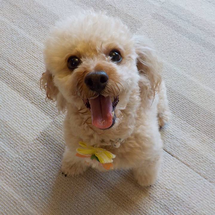 65d8edea 93d7 4ffd bc2c 749d6a6e6add 1590268577892