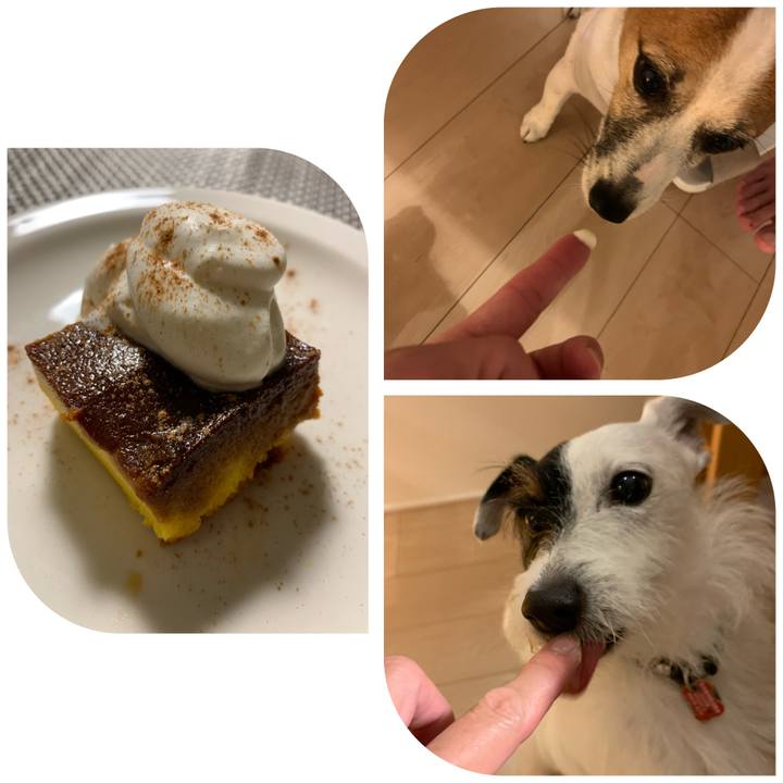 65d9319e 9851 4c7f 8ff1 a9e253196843 1593347974870