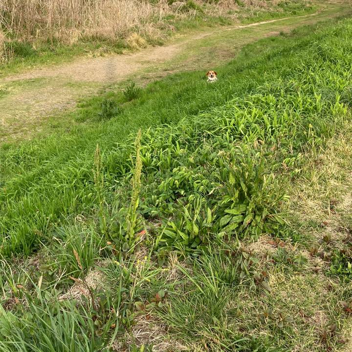 65d9c351 2a6c 4db9 a9a0 9768e01b9845 1649982676211