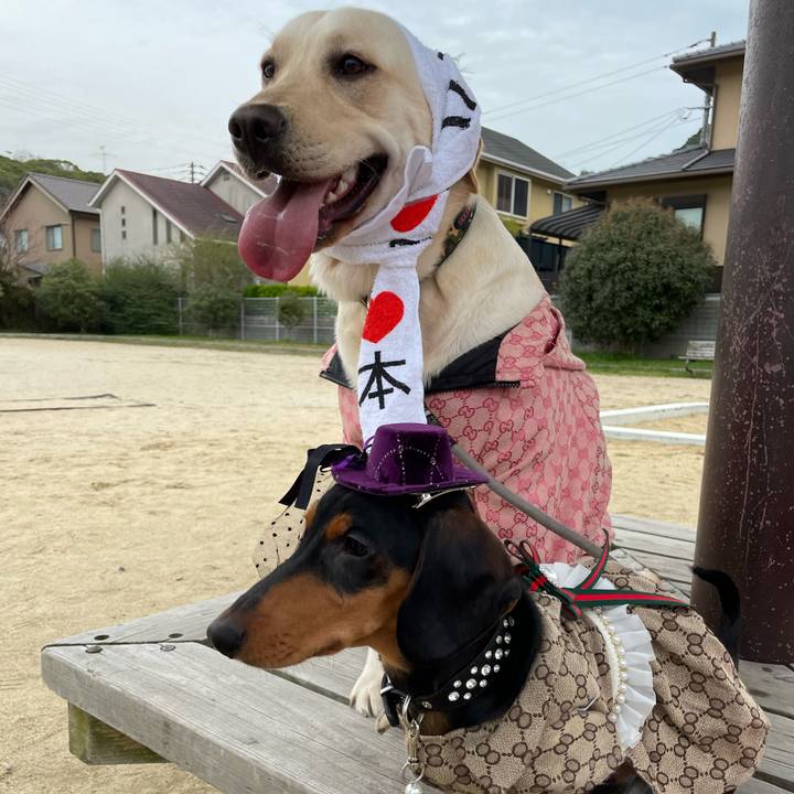 65d9d970 9d45 44b8 b291 9a4f141fd13b 1647852541200