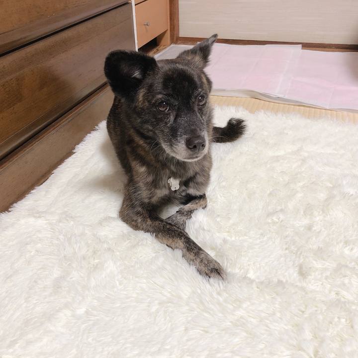 65d9d9c4 003b 4405 b4fb 2cc52657c1ab 1574255925617