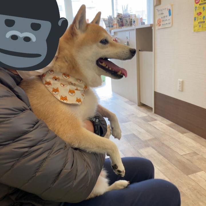 65da6c28 0191 4547 9fc9 a2d899074685 1639362151040