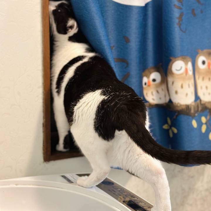 65da6fd3 cdaa 4fbf a0ac 78454eac6cd8 1668389894583