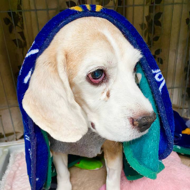 65dab898 8c1d 4ca3 b6fa c497448dda78 1669443124774