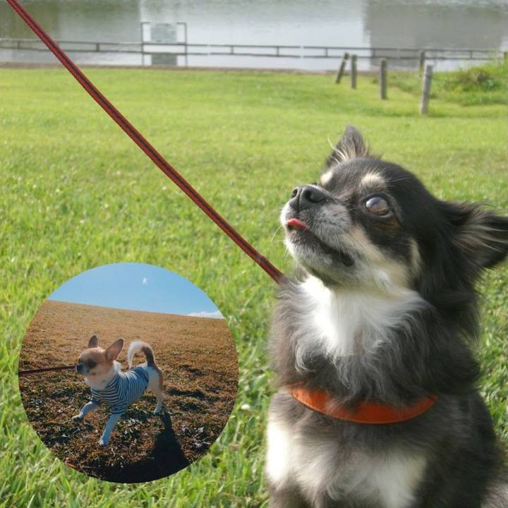 65dadee4 4bba 424d 8ea7 7c7c1e5f7f23 1606028637285