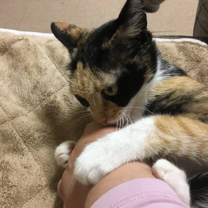 65db0f02 71ca 4bba 8d93 076c69aff62f 1519307919797