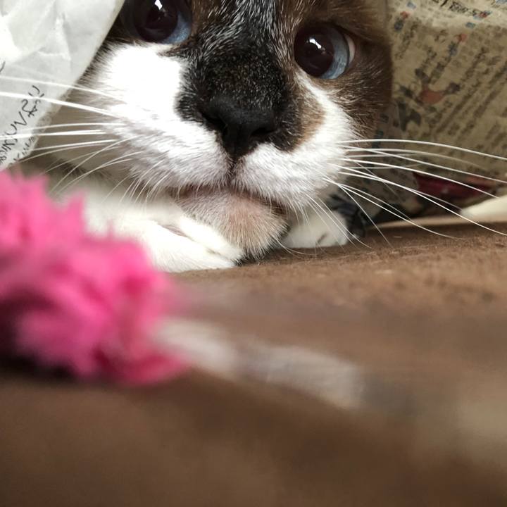 65db8b7f 2002 4b0b 81a7 410c7c962000 1602380608144