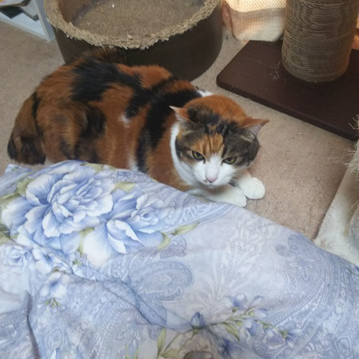 65dbaf0a 2278 41f4 bbbd b931bffbdf44 1547345404492