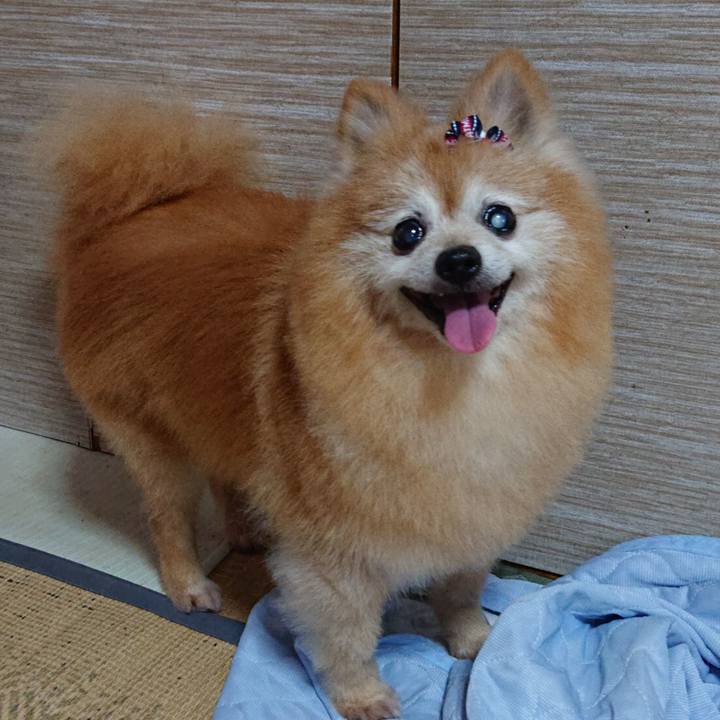 65dc007e d4b0 4551 a374 0d17598769db 1594384343869