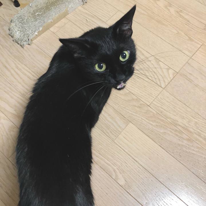 65dc0ec7 b2a3 446f aa94 b3a65ddcf832 1633351079800