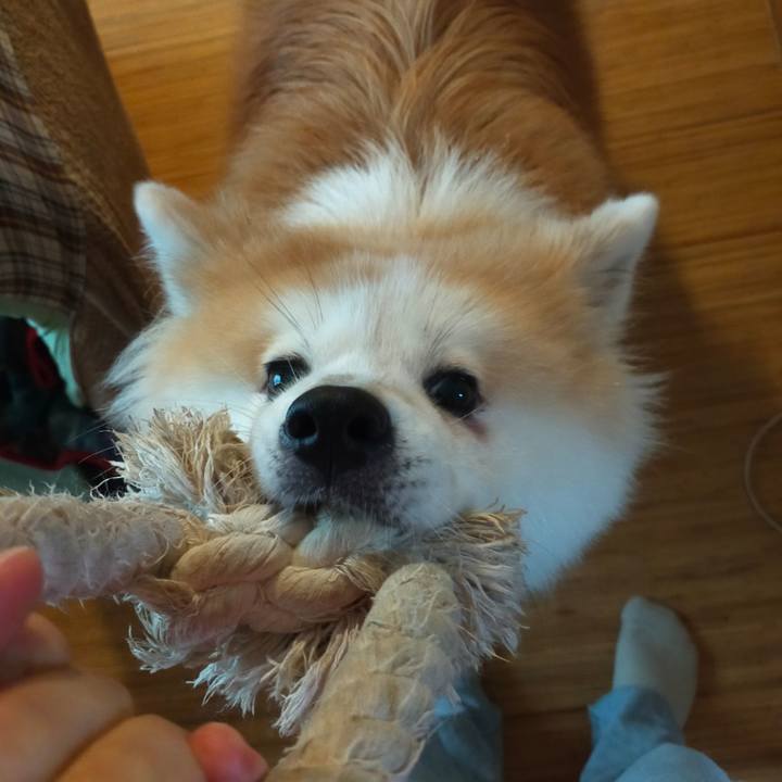 65dc343a 2013 4963 8f3f 48d250a24dd0 1663589266377