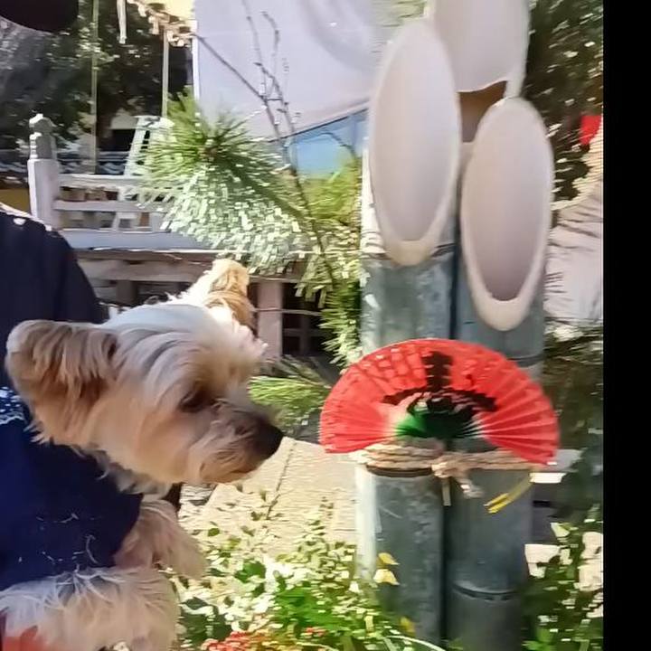 65dc365f a5d8 413b 8c6e 965172ab9098 1735713911532