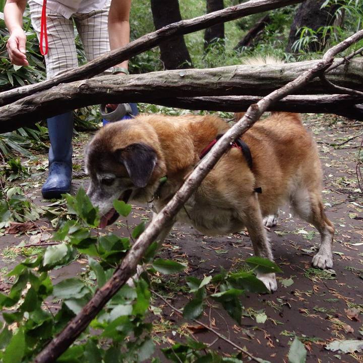 65dc41b8 96f1 4c20 8d8c 54153295fc9b 1678667757050