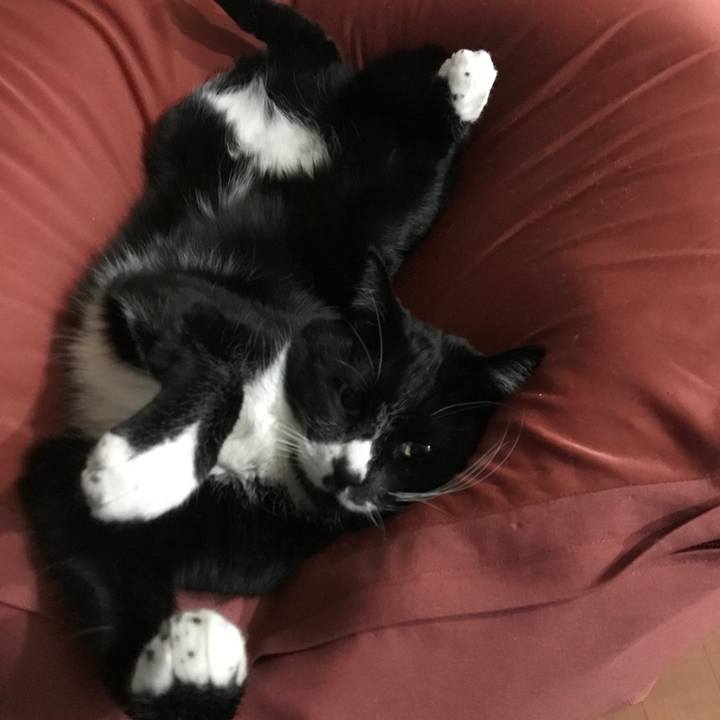 65dc47b1 73ca 4eb6 af5c aaf1a61980fc 1645759621738