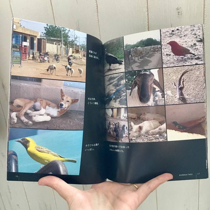 65dc4f29 d209 47e4 b8b3 f8d6528c7e73 1533720208584