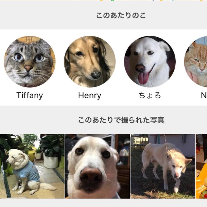 65dc6865 508b 4c7e 9ac1 a5e9f2485099 1556348841267