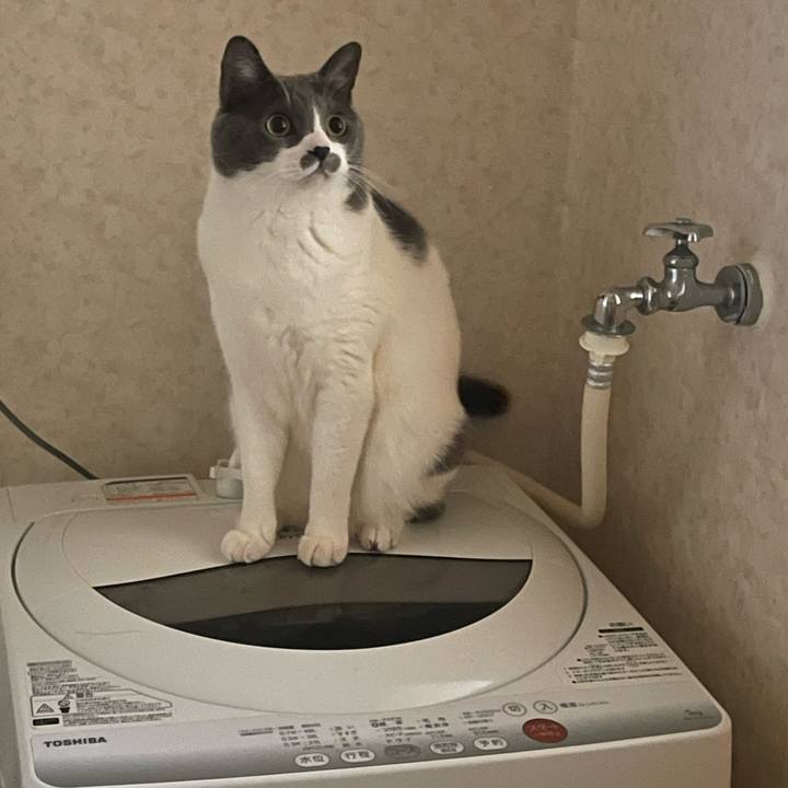 65dcdbfe ce84 4a5a 8618 a68120479681 1738045814541