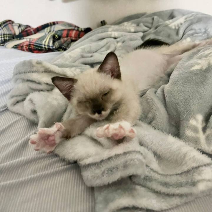 65dce2cd 6004 447a aa55 a3bb5e08a879 1664959109058