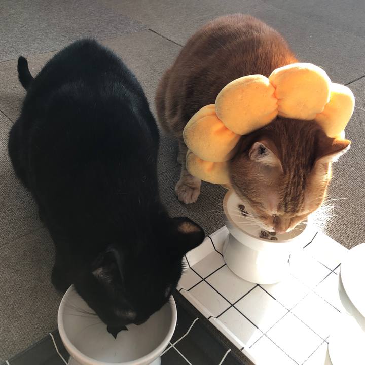 65dd50df 2d7e 4bd8 95fa 57478a7a614c 1684876004073