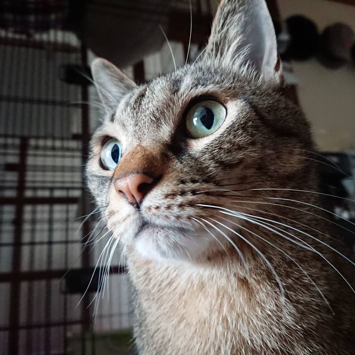 65dd7814 3fc7 4af4 b1a8 3c03c8549cdc 1565741615589