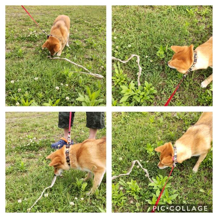 65dd7a6c 9550 4c93 b3e7 68f0fa7f2152 1652597420882