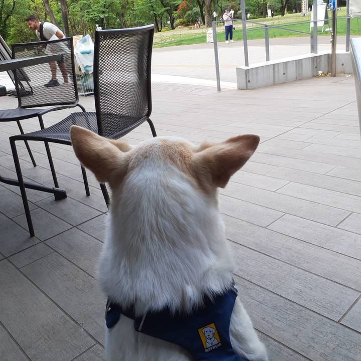 65dd984f 6c88 42d3 9e4f 2decd6cac61e 1683346455590