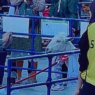 65ddb18b d7ab 4b01 88ad ca44d168b9e6 1700384128303