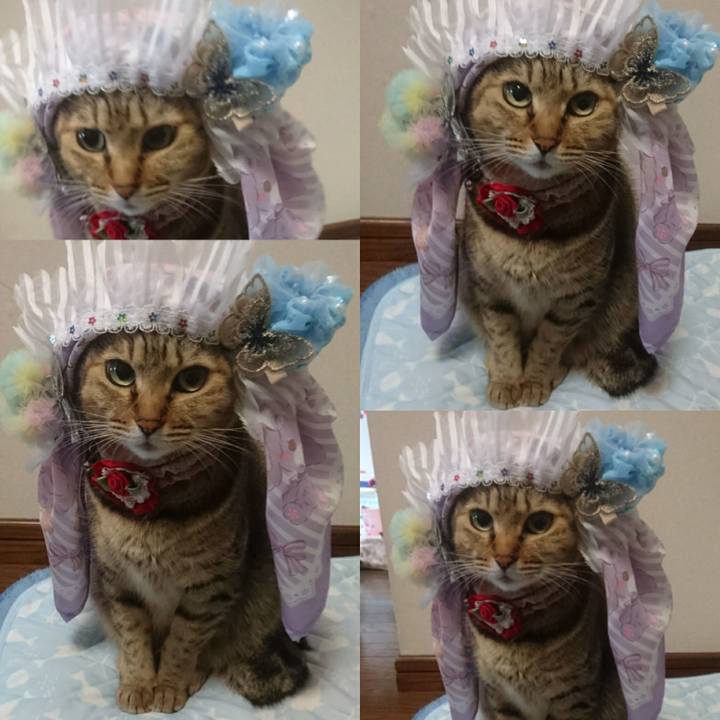 65de0165 65e7 4023 a04e 902d0d030a21 1761090534564