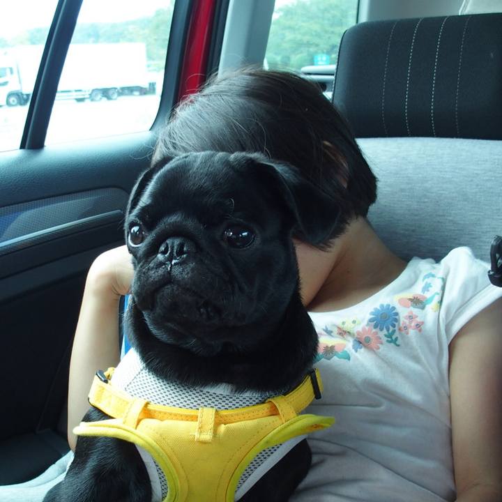 65de37fd c6d7 4688 8713 56b865ea366e 1596884877191