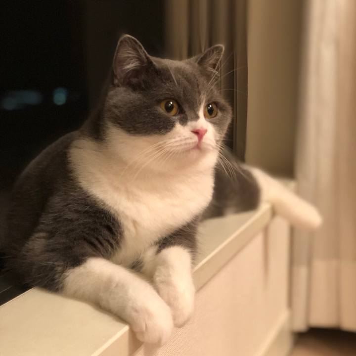 65de62fe 724f 44bd b2ba a74fa532dea8 1539855383091