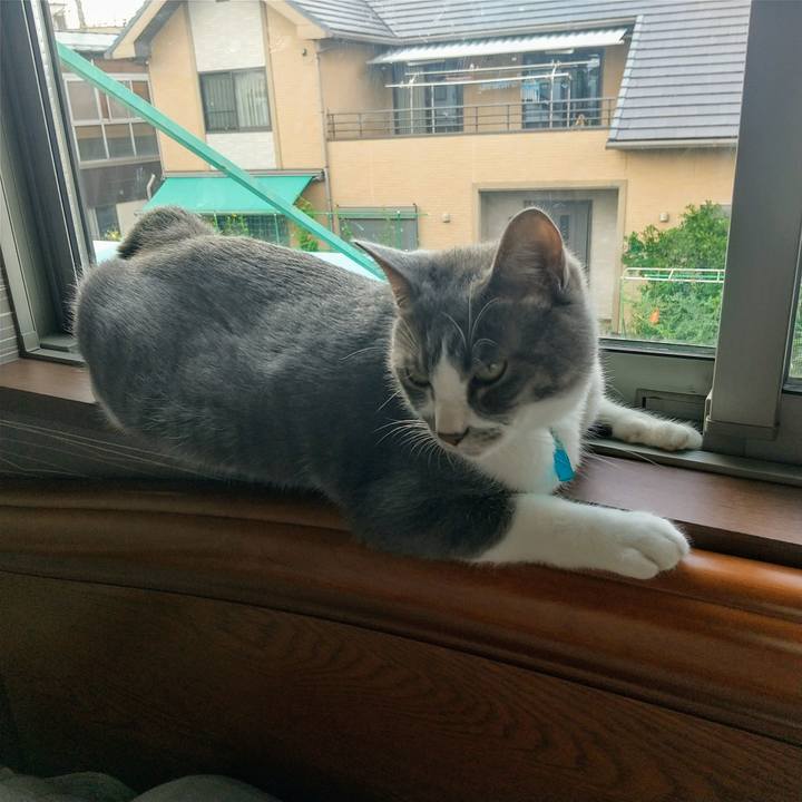 65de79ea 8687 4b69 9578 9636df3c2108 1624260377135