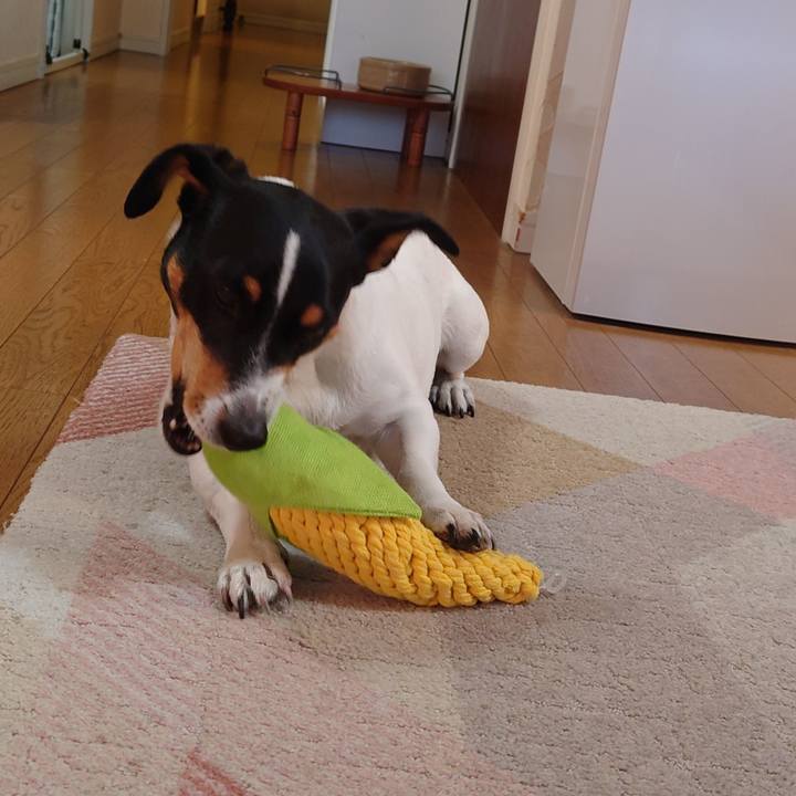 65de99d4 80d5 416f 88c3 c611766773a5 1735083610179