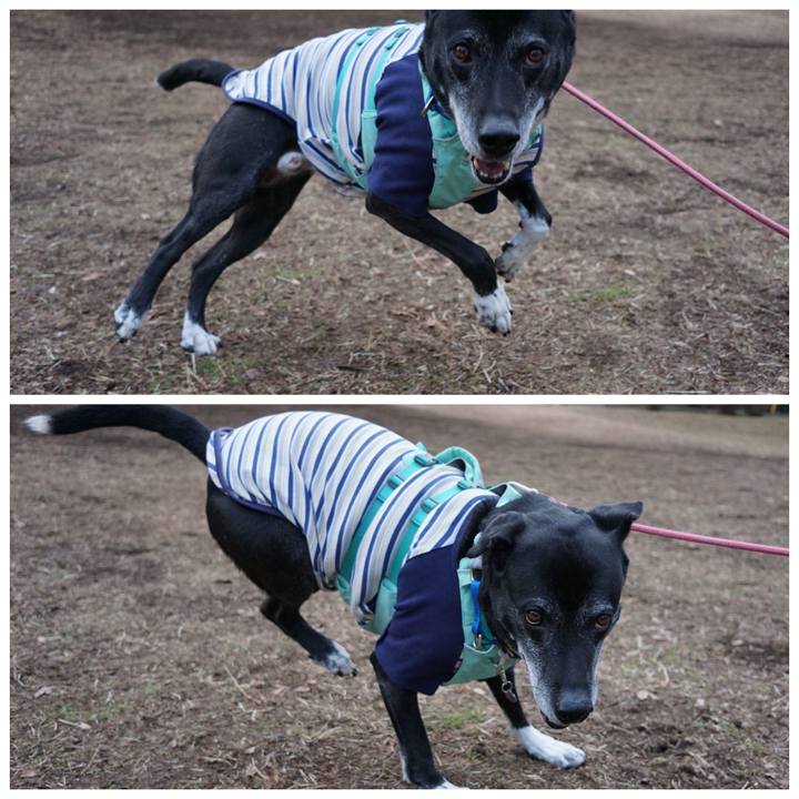 65deb011 e734 42e4 b4a7 15ad823a66de 1770856337958