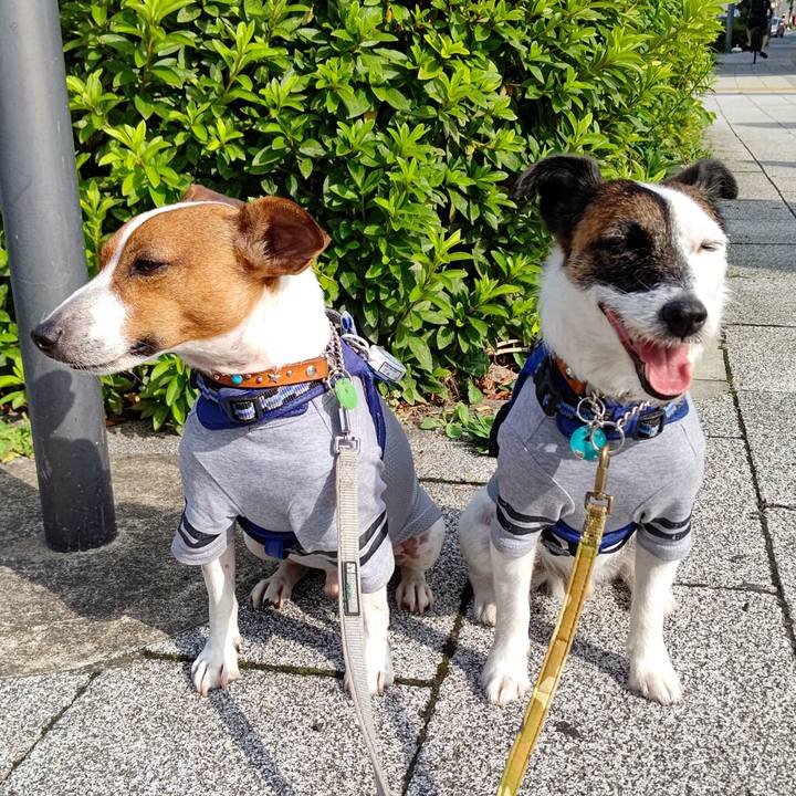 65deb5ce 4e64 4218 aab2 76d9ebbc7d06 1624662738063