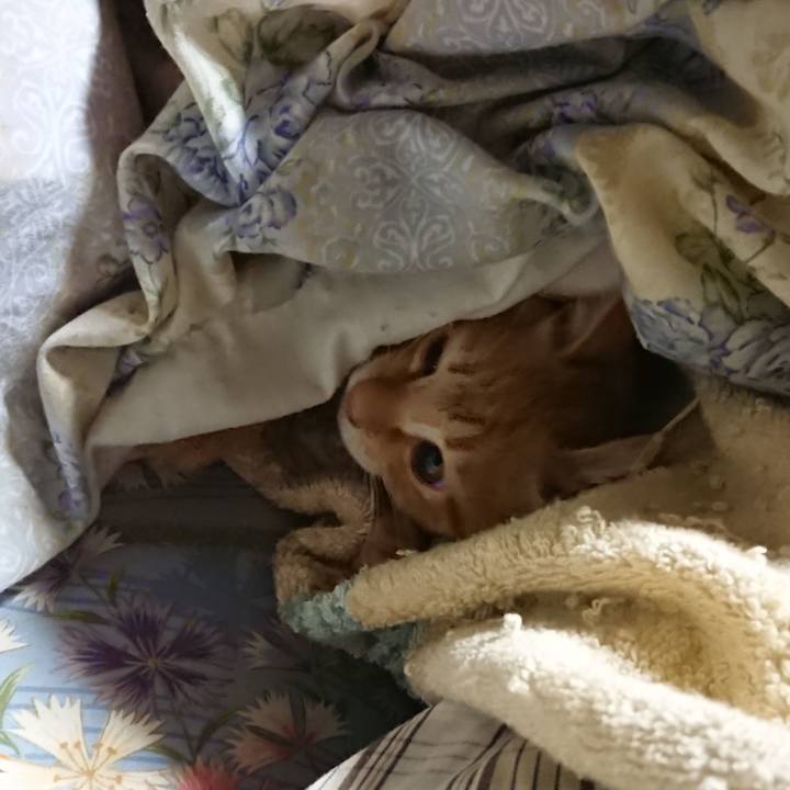 65df074f 65ea 43a8 aeb4 5d28cf535b84 1632775072553