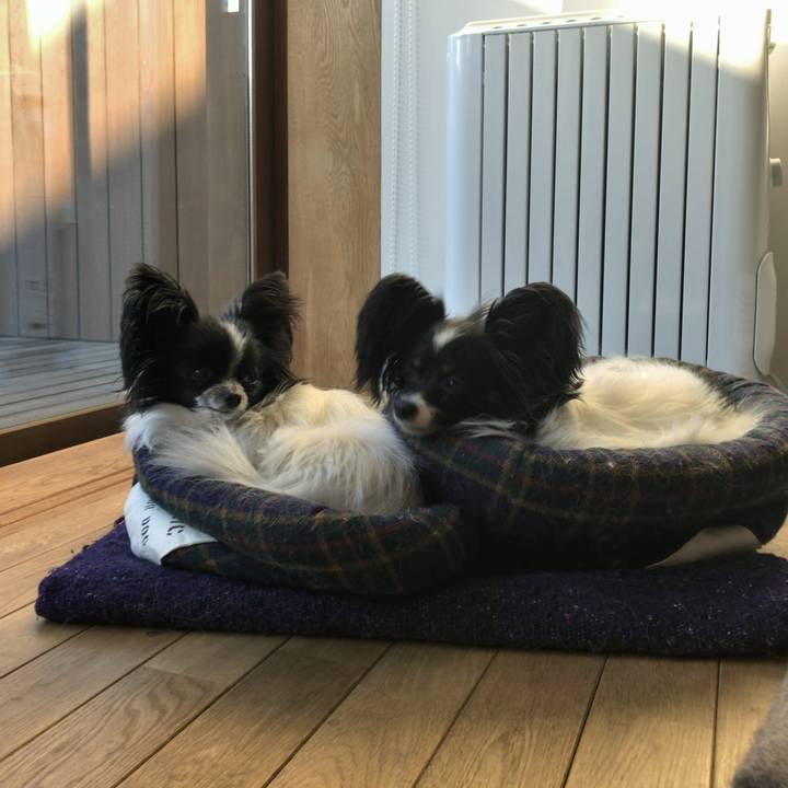 65df129d efd0 4a0e 928a 2473abc20280 1515885795884