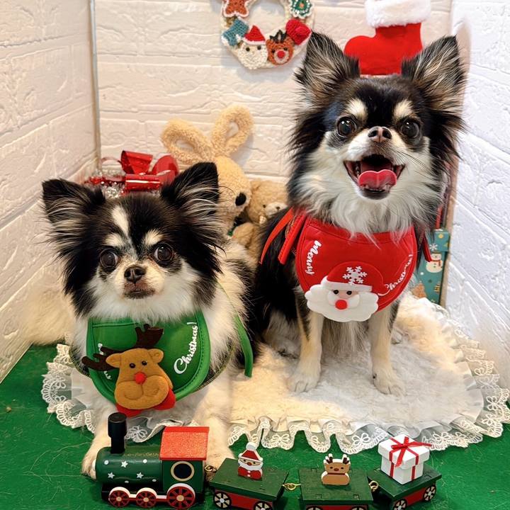 65df1800 855f 4fe7 bb8a 3176a250997e 1765097936520