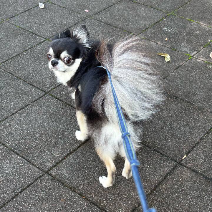 65df2142 3497 421c 939e 455418be76d6 1760804943900