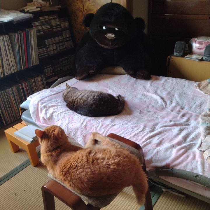 65df3c0b 0bea 4cdf 82a8 d80e30ac588d 1688427773064