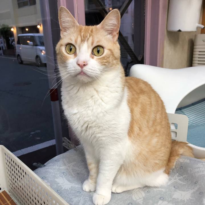 65df6a5f ac2f 4b88 b205 c5709a83ab29 1564795483243