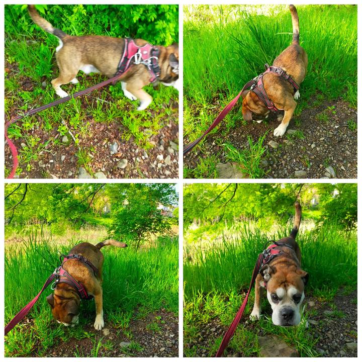 65df6ea7 fb18 48f2 9c50 5c6407cd65f8 1650975092160