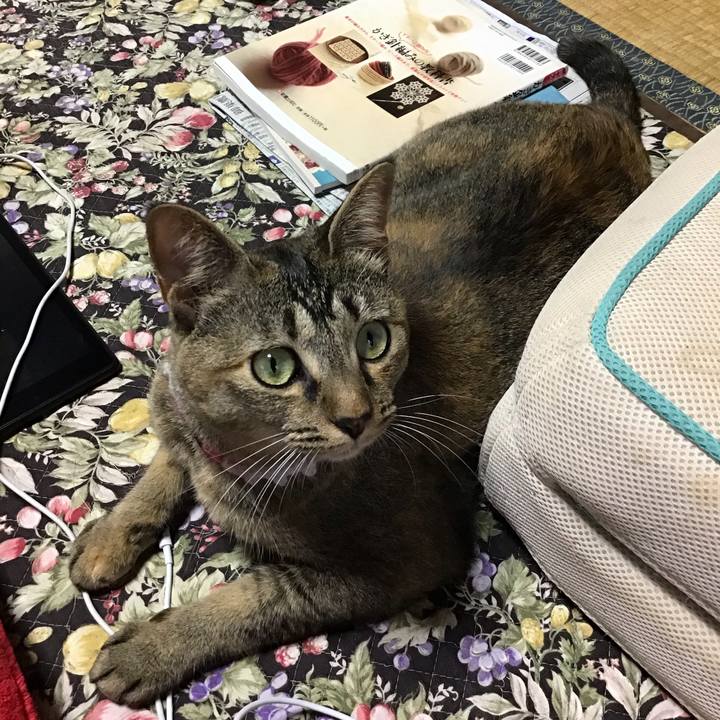 65df719e 0e0a 4635 a804 07327e281963 1595737652938