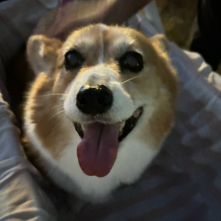 65df954b c1fd 4af8 8f25 c3d2e044214f 1727773963568