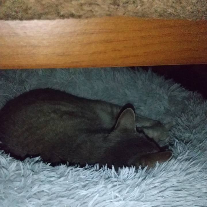 65dfa4fb ae56 4a07 b556 31d523308470 1654508674683