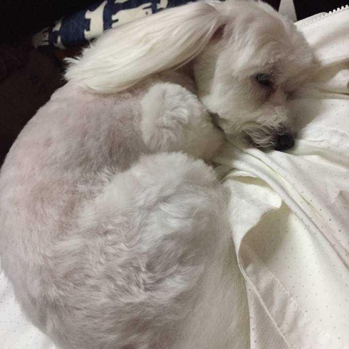 65dfcf9d fac0 42b5 aa8b f0997ef4b2a1 1539259012540