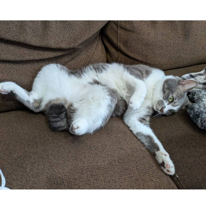 65dfd7b1 ecd7 4453 b52a 354258d87b4e 1729314835224