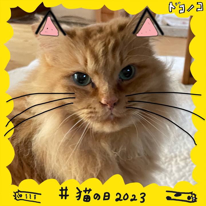 65dff520 e37c 4d9e 8e17 65d95ef9b63f 1677056823233