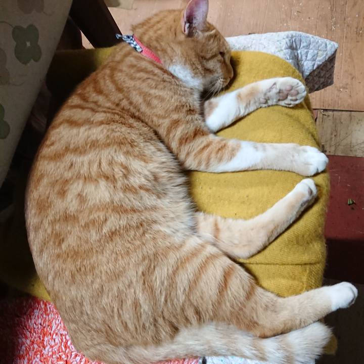 65e014ac 80a0 4857 b512 d44b921d5185 1570274923098