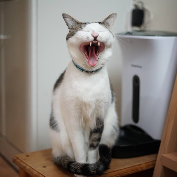 65e06aa0 5233 4da7 b2b3 3a7045173806 1513779236083